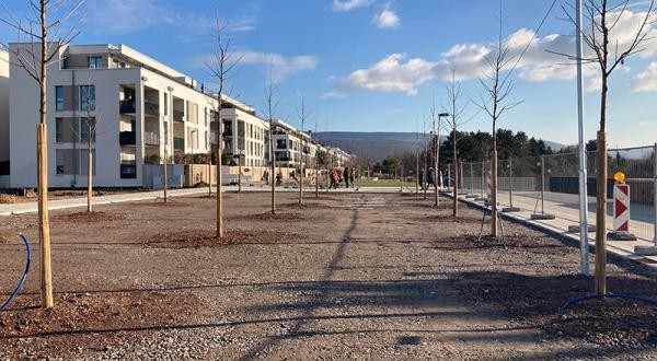 Die Bauarbeiten auf der Pfaffengrunder Terrasse sind schon weit vorangeschritten. (Foto: Buck) Die Pfaffengrunder Terrasse.