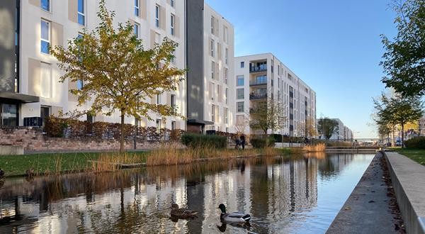 Das Wasserbecken am Langen Anger. (Foto: Stadt Heidelberg) Das Wasserbecken am Langen Anger.