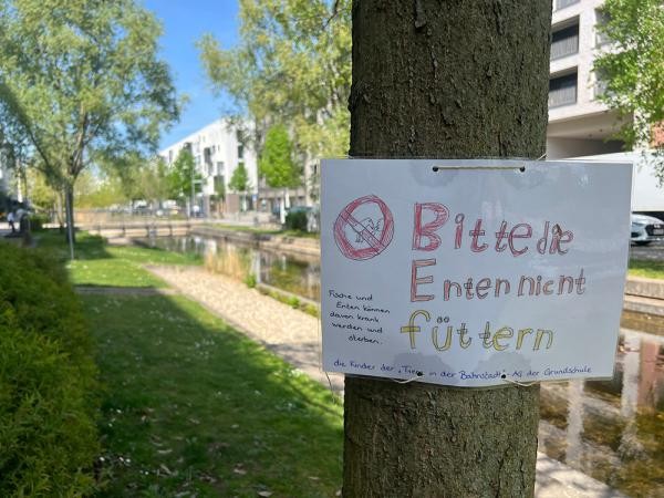 Ein buntes Schild der Grundschul-AG „Tiere in der Bahnstadt“ warnt am Ufer der Bahnstadt-Becken vor dem Entenfüttern. Futter schadet den Tieren, verschmutzt das Wasser und stört das natürliche Gleichgewicht. (Foto: Stadt Heidelberg) Selbstgemaltes Schild "Bitte die Enten nicht füttern" an einem Baum.
