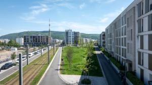 Zu sehen ist eine Grünfläche entlang der Schienen in der Bahnstadt