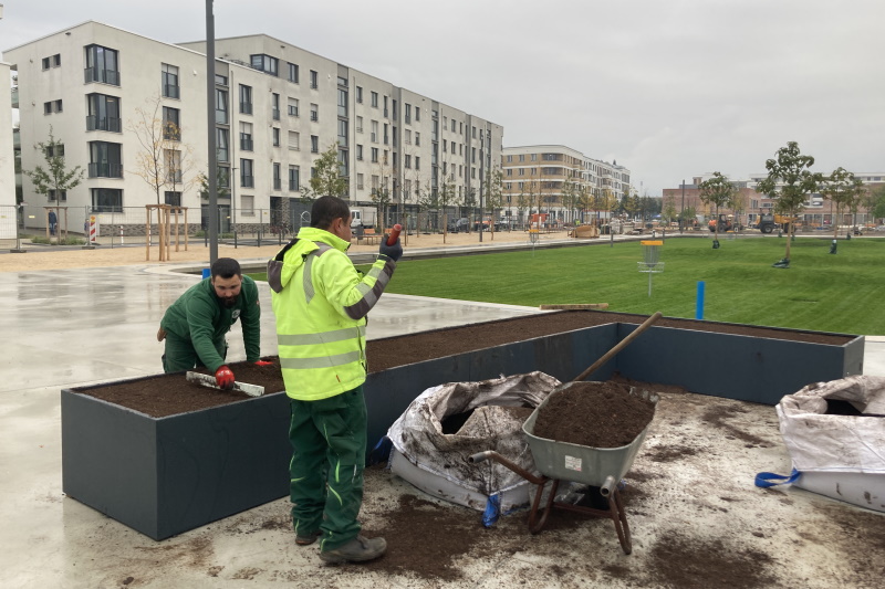 Pfaffengrunder Terrasse und Bauarbeiter in der Bahnstadt. Foto: Foto: Stadt Heidelberg Pfaffengrunder Terrasse und Bauarbeiter in der Bahnstadt.