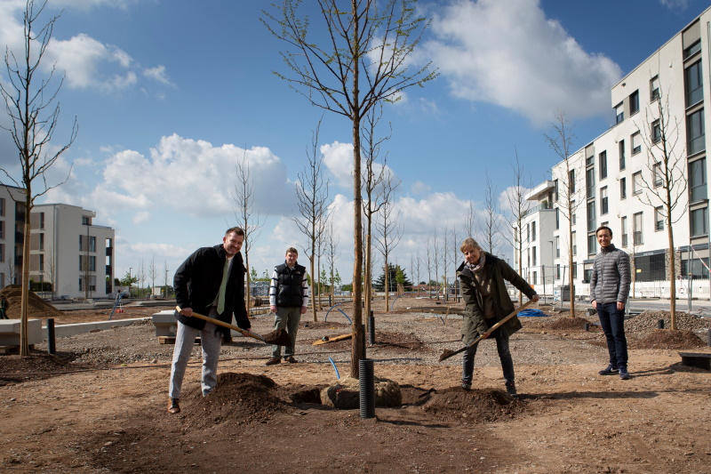 Pfaffengrunder Terrasse in der Bahnstadt. Foto: Foto: Larionova Pfaffengrunder Terrasse in der Bahnstadt. Foto: Foto: Larionova