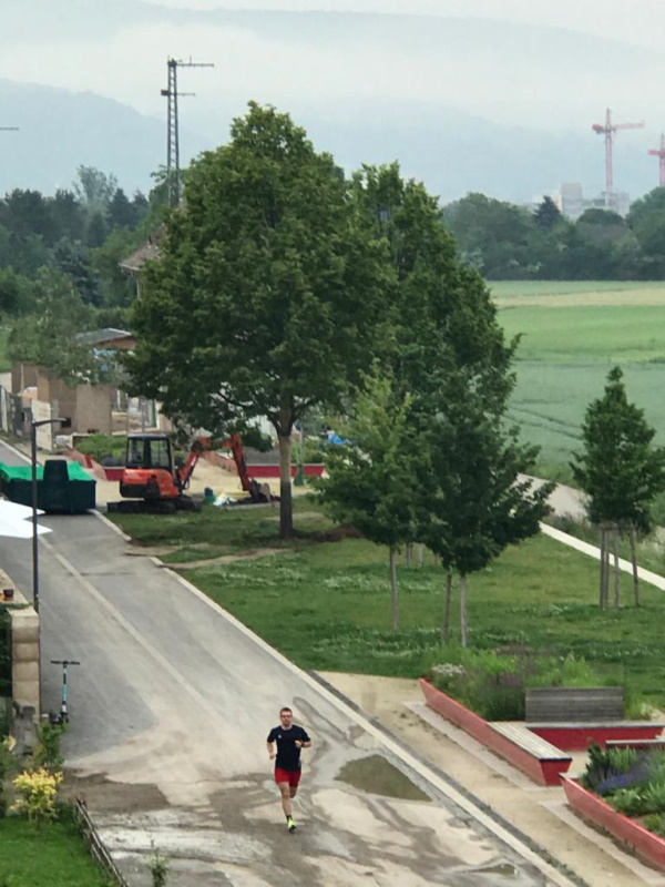 Baumverpflanzung in der Bahnstadt. Foto: Stadt HD Baumverpflanzung in der Bahnstadt. Foto: Stadt HD